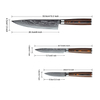 Damascus нож набор 3 шт. Professional VG-10 67 слоев Damascus нож